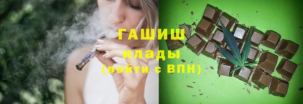 стафф Алексин