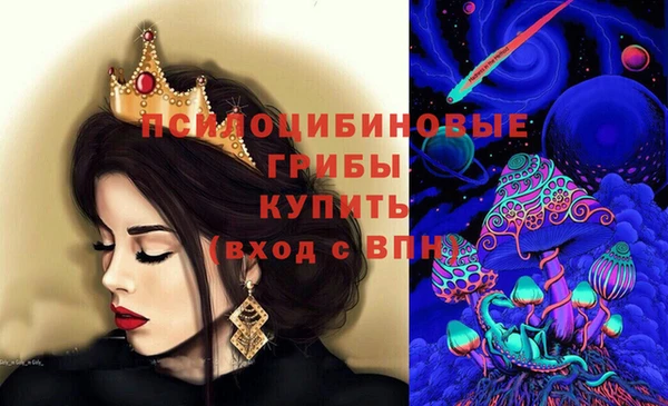гидра Алзамай