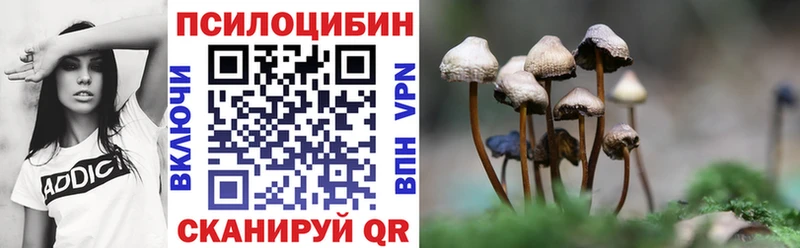 Псилоцибиновые грибы мицелий  Ахтырский 